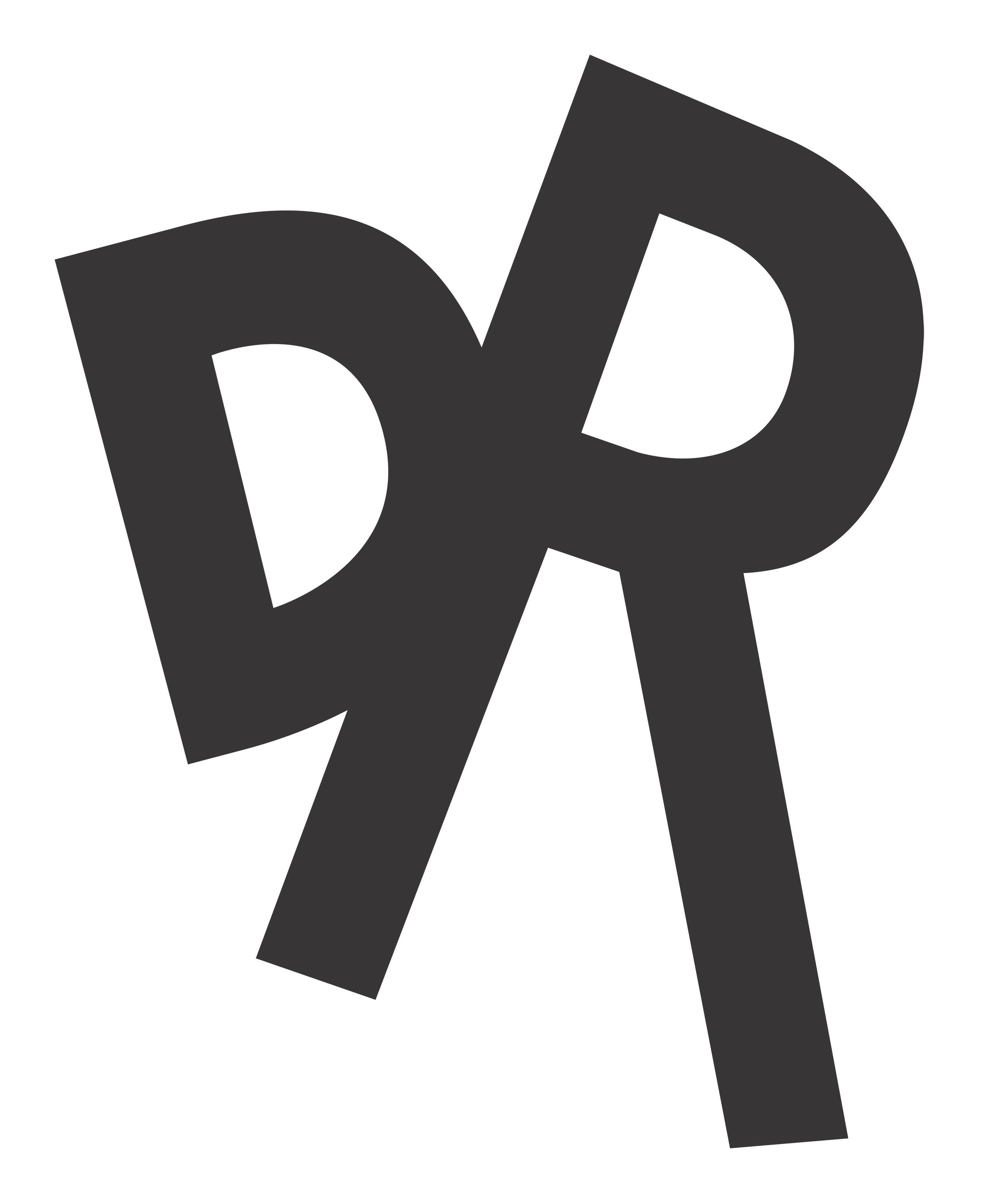 Trademark Logo DR