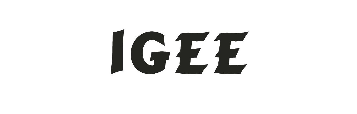  IGEE