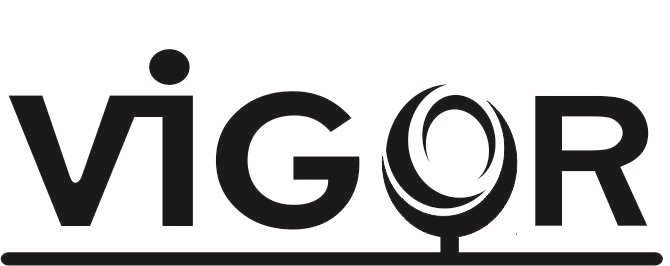 Trademark Logo VIGOR