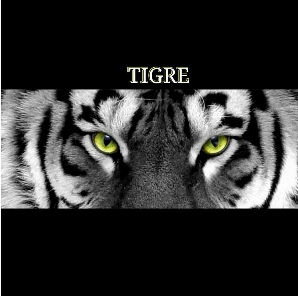 Trademark Logo TIGRE