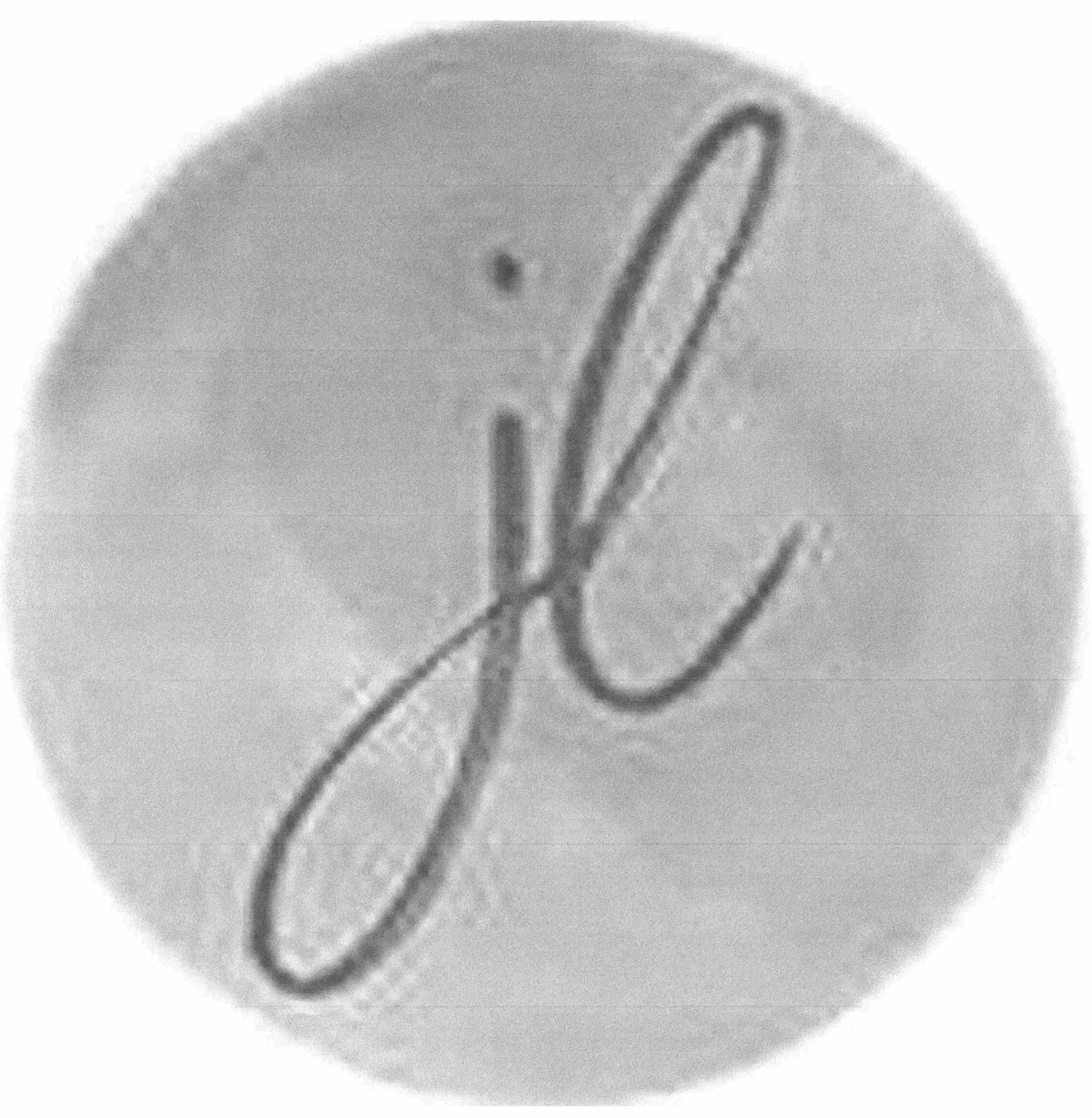 Trademark Logo JL