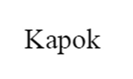 Trademark Logo KAPOK