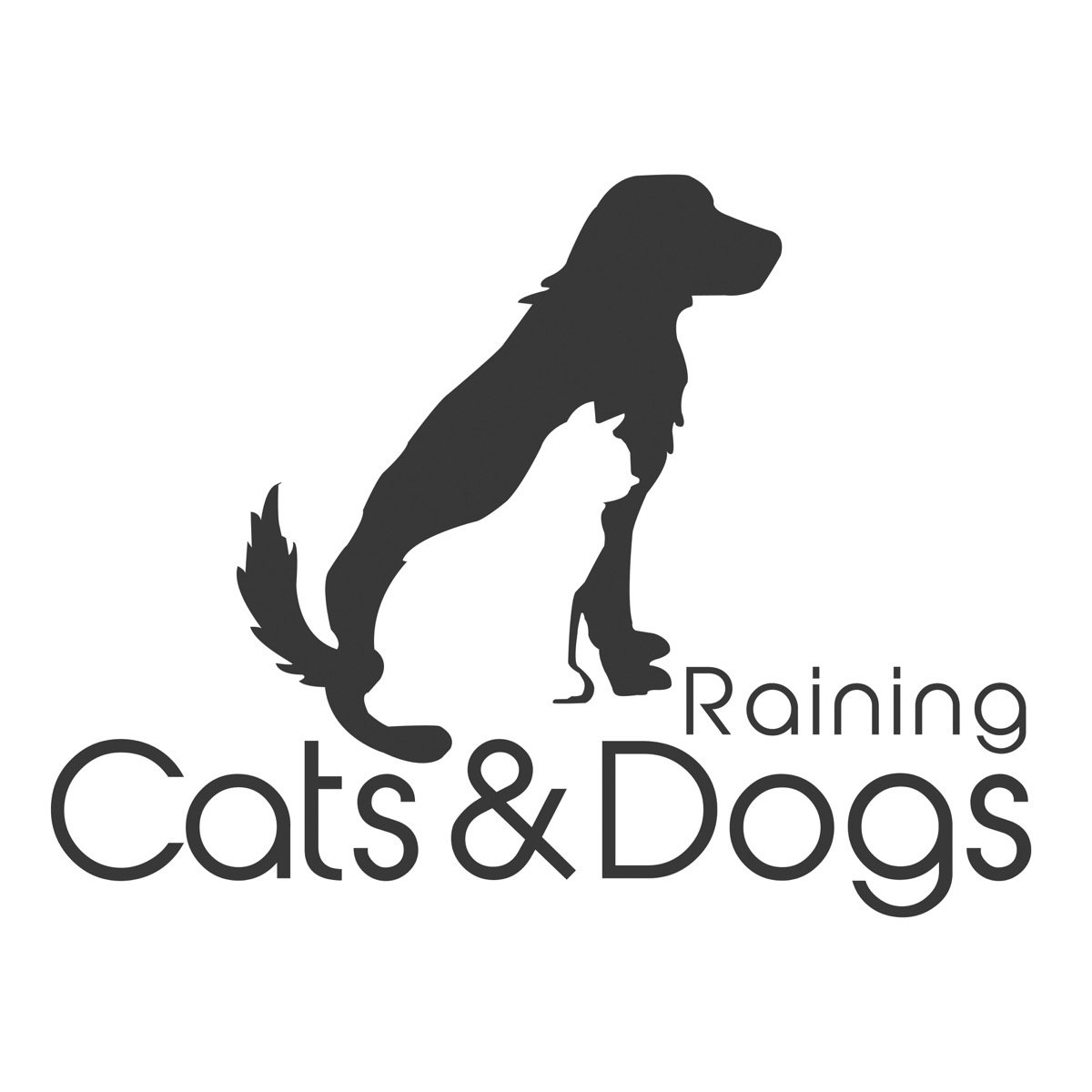  RAINING CATS &amp; DOGS