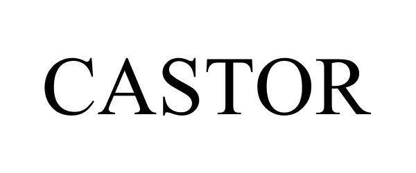 Trademark Logo CASTOR
