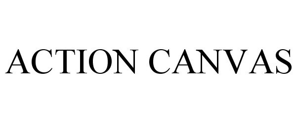 Trademark Logo ACTION CANVAS