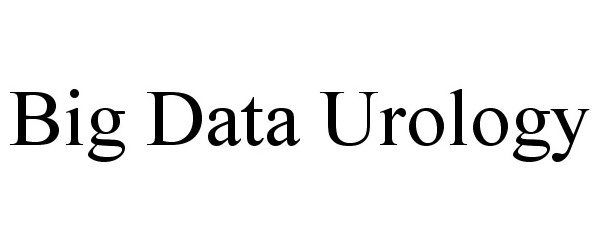 Trademark Logo BIG DATA UROLOGY