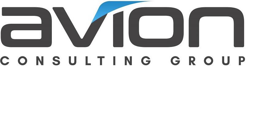  AVION CONSULTING GROUP