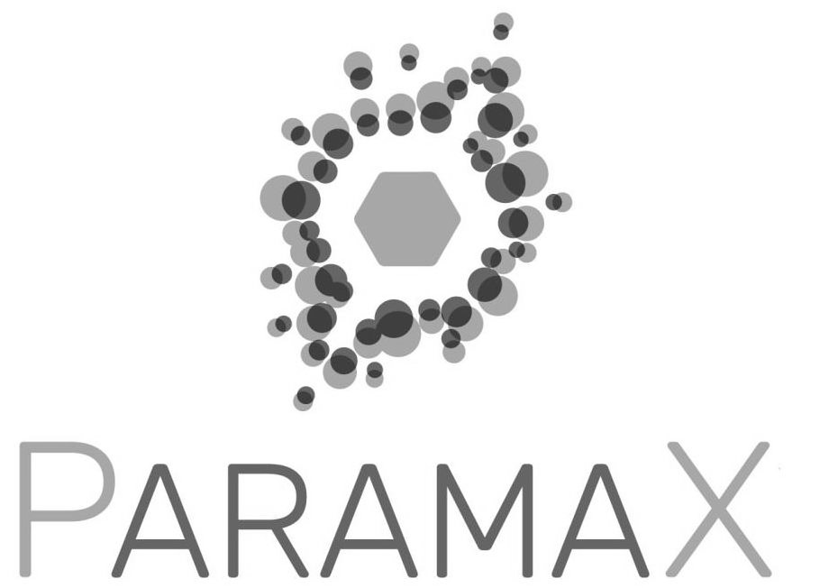 Trademark Logo PARAMAX
