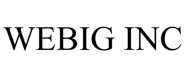 Trademark Logo WEBIG INC