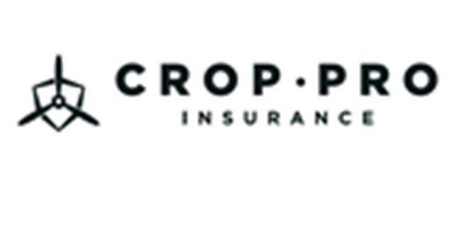 Trademark Logo CROP · PRO INSURANCE