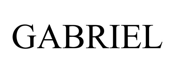 GABRIEL - Blue Systems A.Y Ltd Trademark Registration
