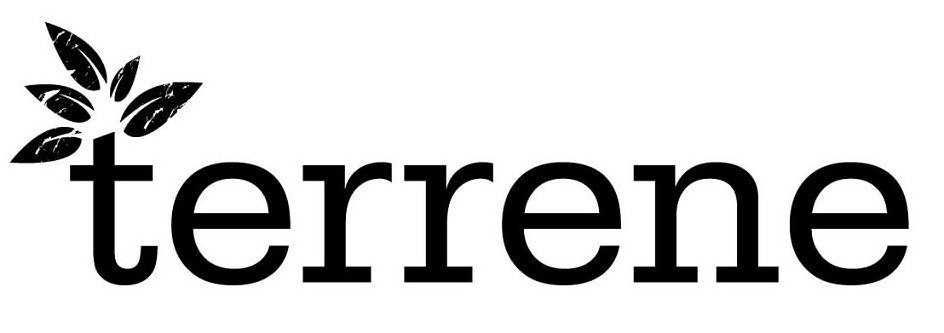 Trademark Logo TERRENE