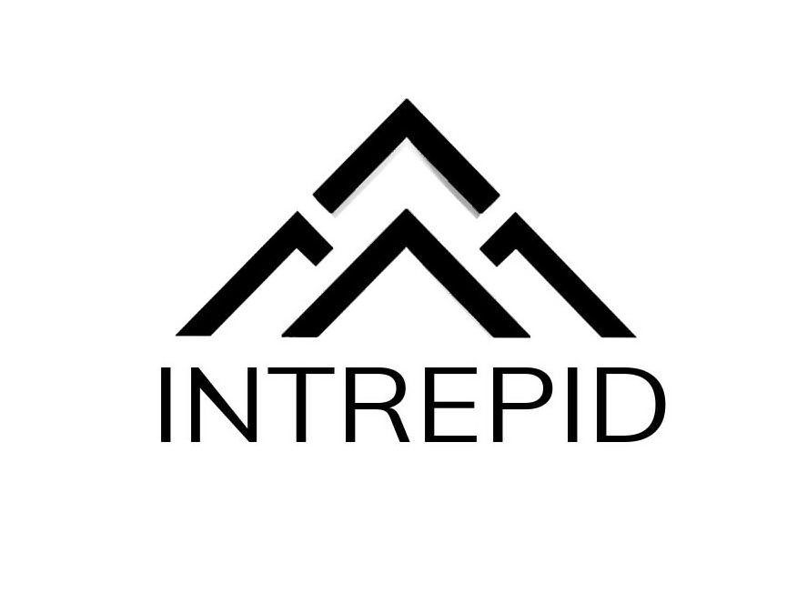 Trademark Logo INTREPID