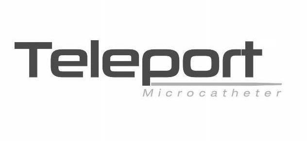 Trademark Logo TELEPORT MICROCATHETER