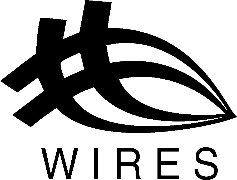 Trademark Logo WIRES