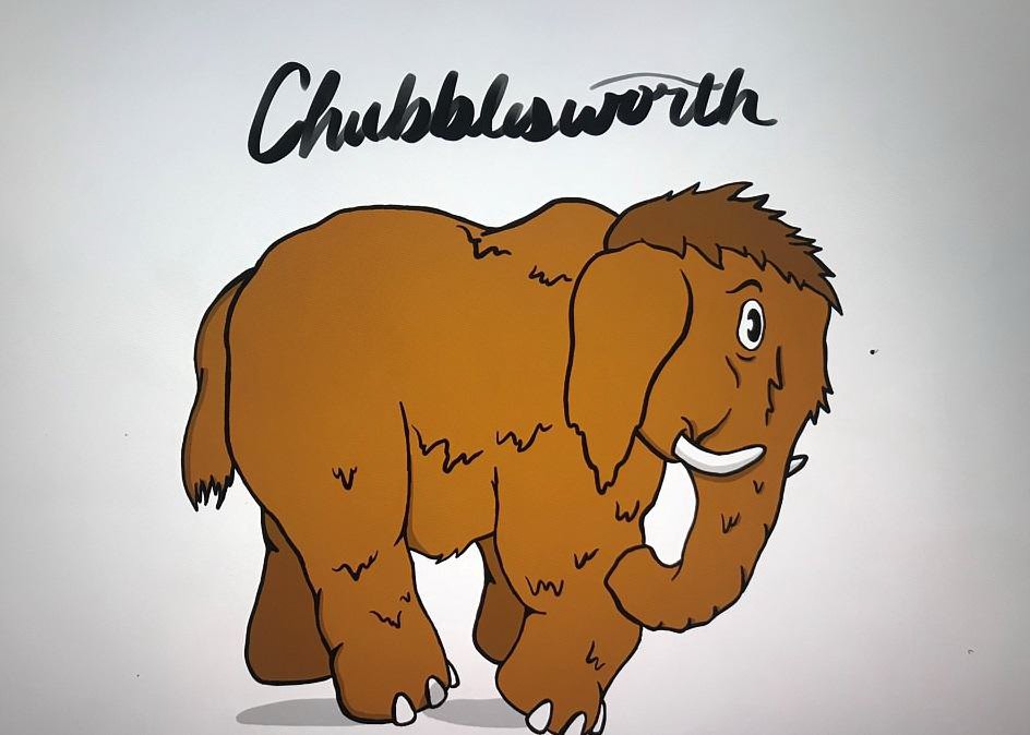 Trademark Logo CHUBBLESWORTH