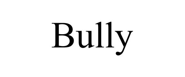 Trademark Logo BULLY