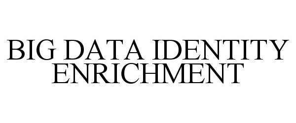Trademark Logo BIG DATA IDENTITY ENRICHMENT