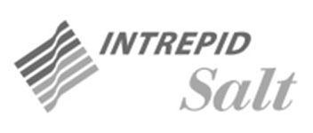 Trademark Logo INTREPID SALT