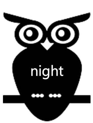 Trademark Logo NIGHT