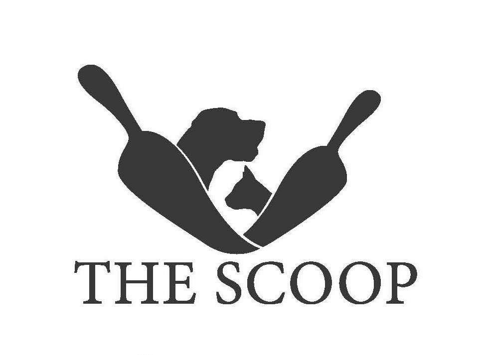 Trademark Logo THE SCOOP