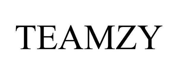 Trademark Logo TEAMZY