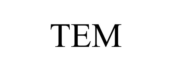 Trademark Logo TEM