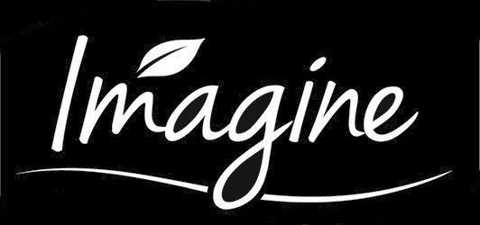 Trademark Logo IMAGINE