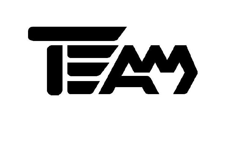 Trademark Logo TEAM