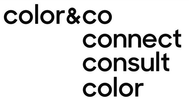  COLOR&amp;CO CONNECT CONSULT COLOR