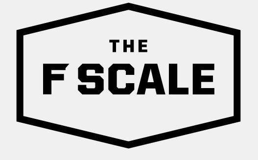 Trademark Logo THE F SCALE