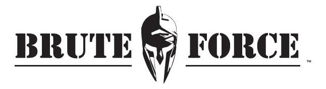 Trademark Logo BRUTE FORCE