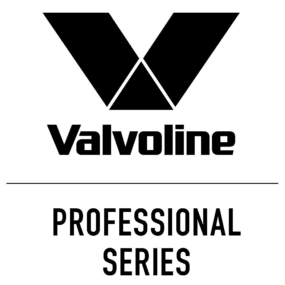 Trademark Logo V VALVOLINE PROFESSIONAL SERIES