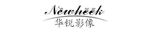 Trademark Logo NEWHEEK