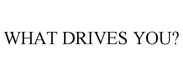  WHAT DRIVES YOU?