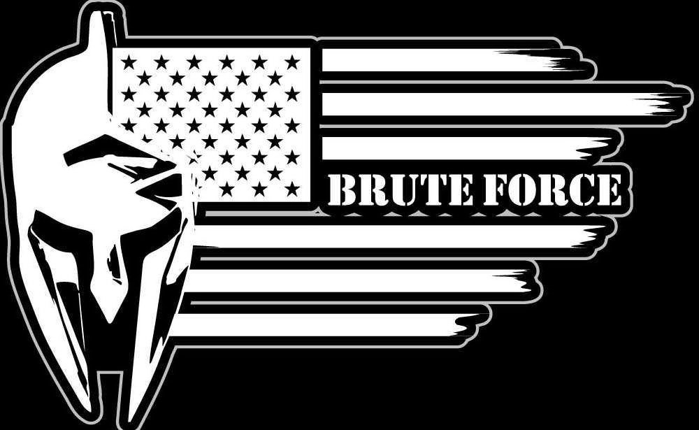 Trademark Logo BRUTE FORCE