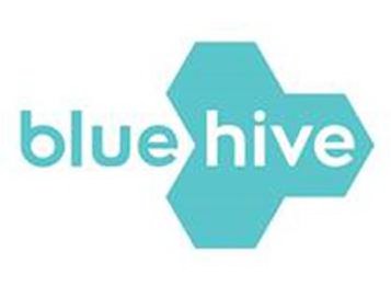  BLUEHIVE