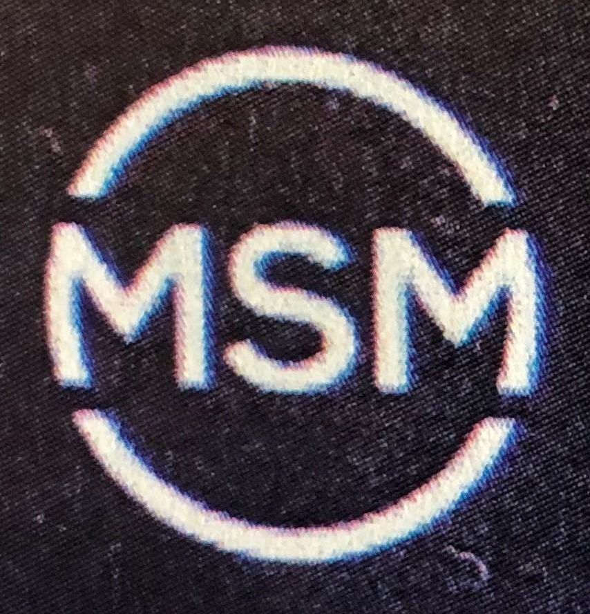 Trademark Logo MSM