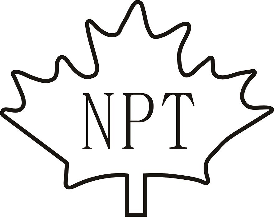 Trademark Logo NPT