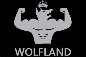 Trademark Logo WOLFLAND