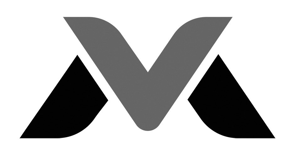 Trademark Logo VM