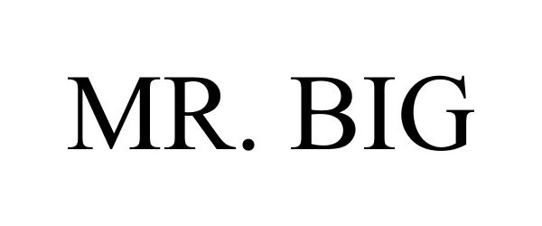 Trademark Logo MR. BIG