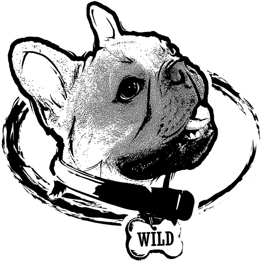 Trademark Logo WILD