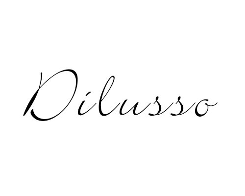 Trademark Logo DILUSSO