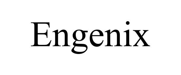 Trademark Logo ENGENIX