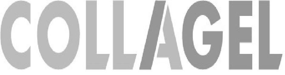 Trademark Logo COLLAGEL