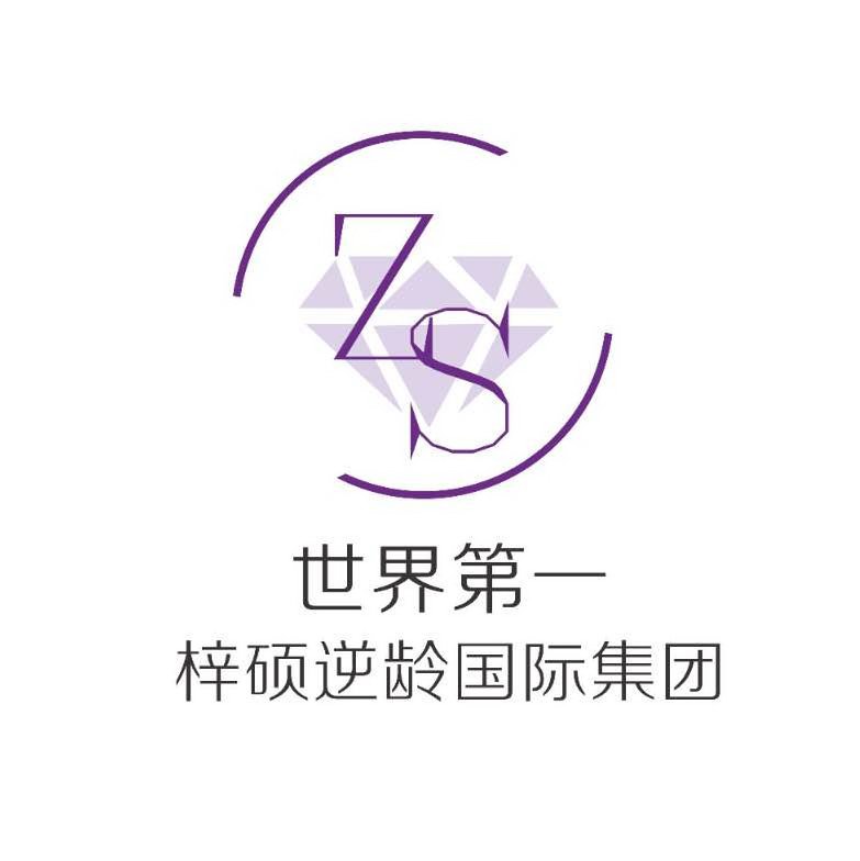 Trademark Logo ZS