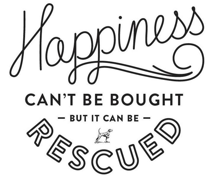  HAPPINESS CAN'T BE BOUGHT - BUT IT CAN BE - RESCUED