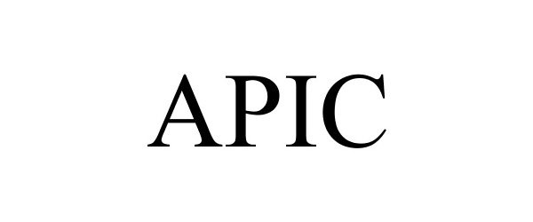 Trademark Logo APIC