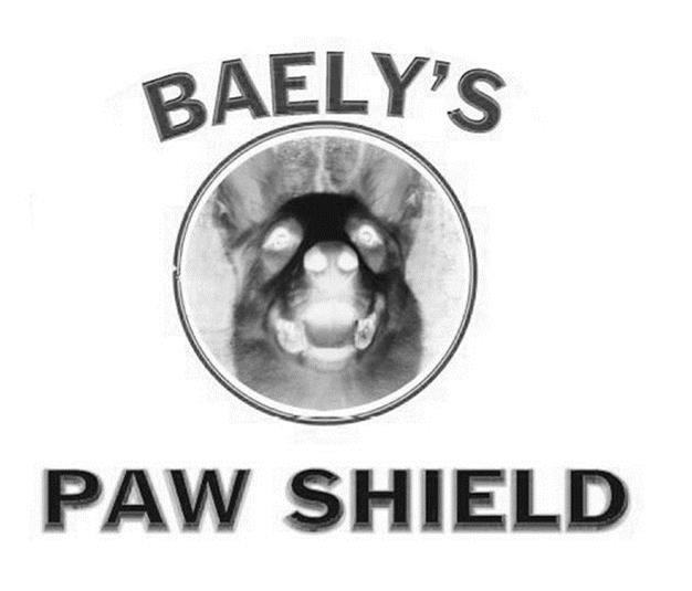  BAELY'S PAW SHIELD